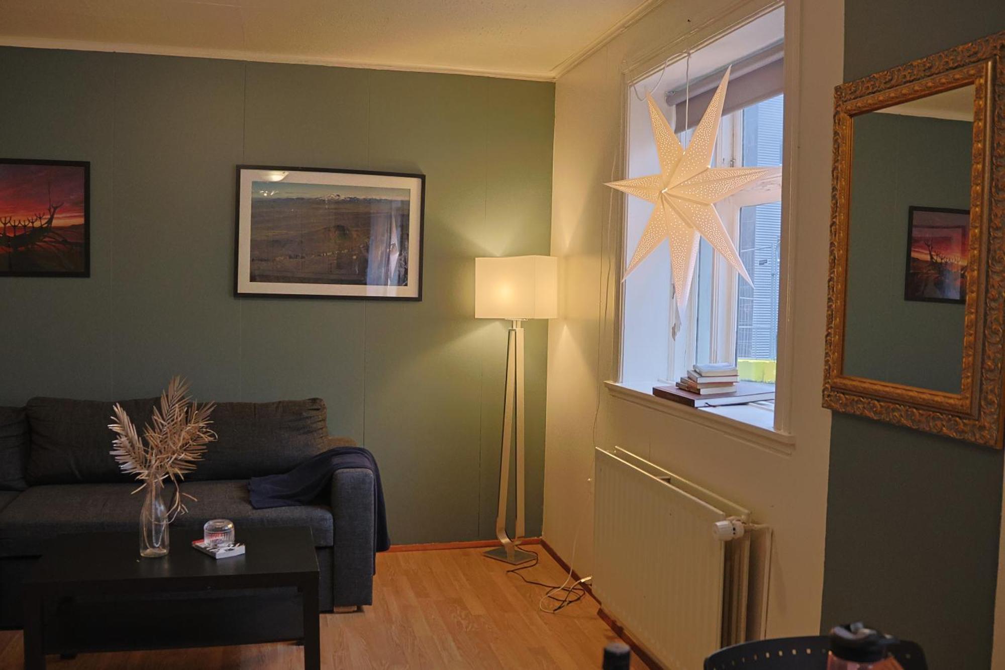 Lagertha'S Apartment,Downtown Reykjavik Ngoại thất bức ảnh